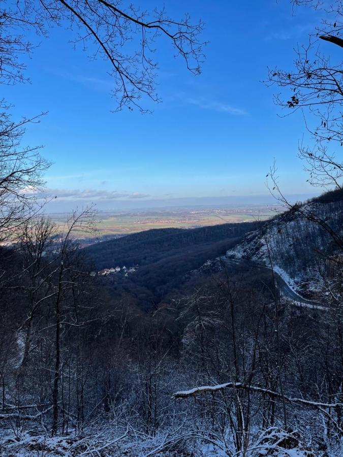 Wanderer Unterkunft Am Hexentanzplatz O Thale Esterno foto